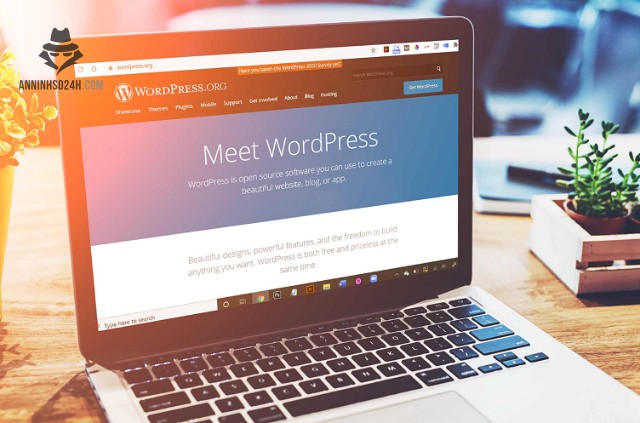 Có nhiều nguyên nhân dẫn đến việc website WordPress bị nhiễm virus