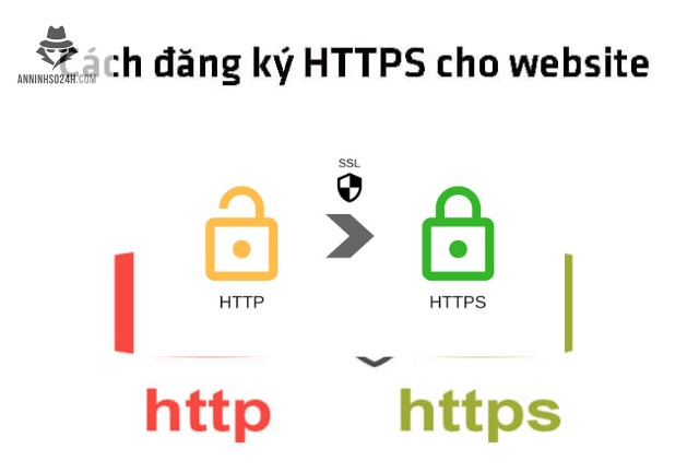 Chứng chỉ mạng, hay còn gọi là chứng chỉ SSL/TLS